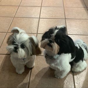 Meet your Posher, Laura